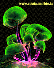 Coler